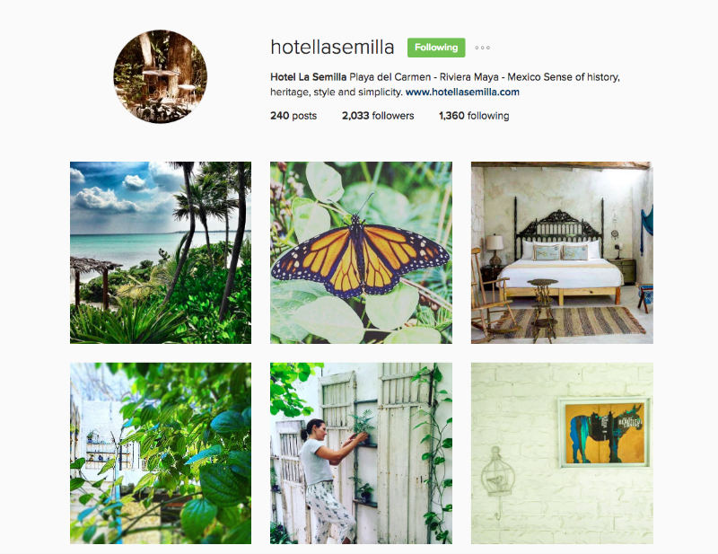 La Semilla: Instagram For Tourism Marketing