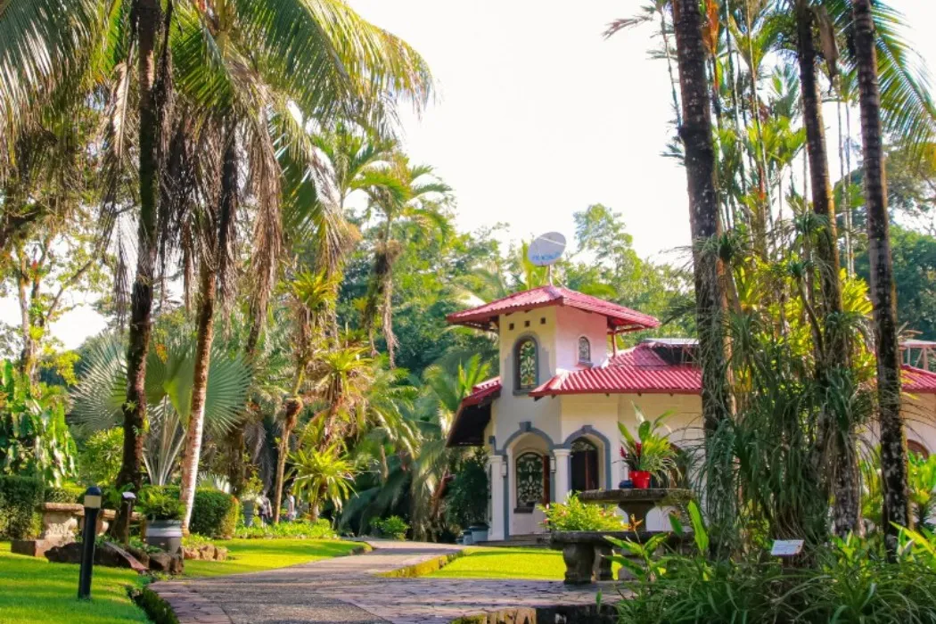 mockup of lamangata website